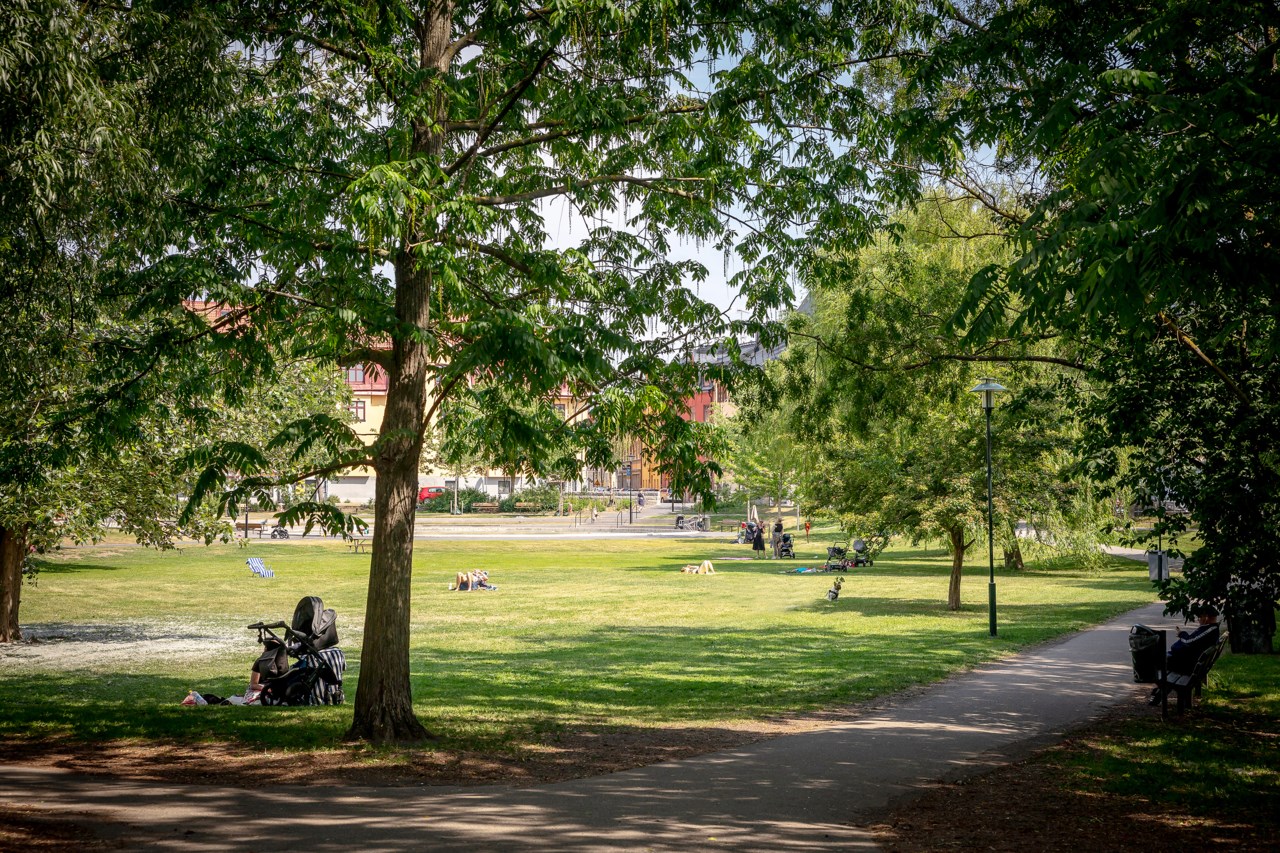 Svandammsparken