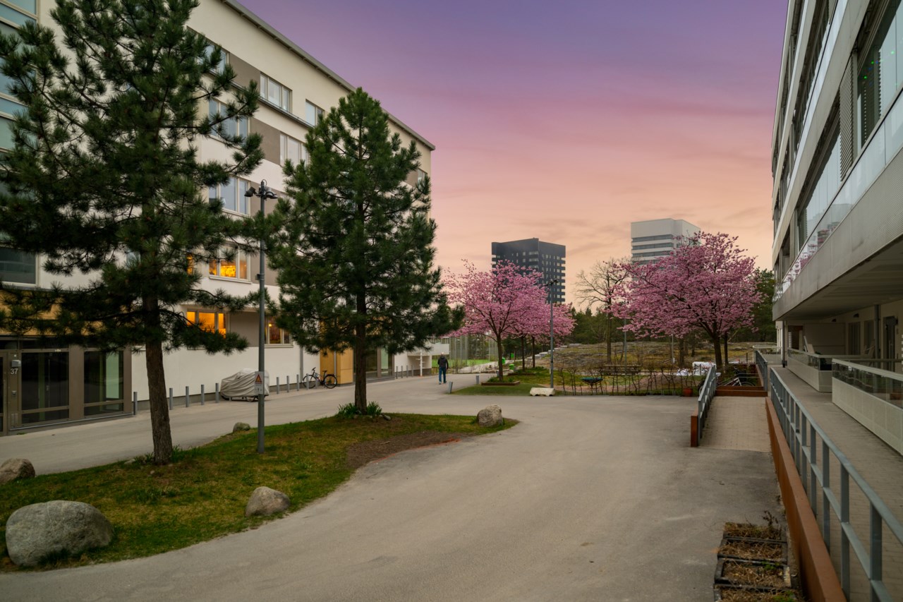 Sjöviksbacken 49