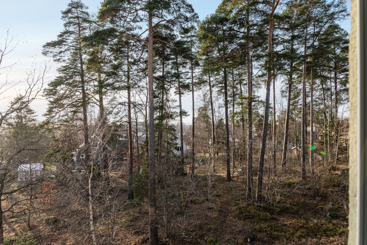 Trehörningen 5