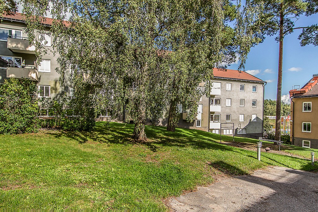 Trehörningen 5