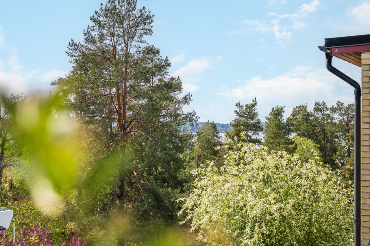 Turbingränd 5