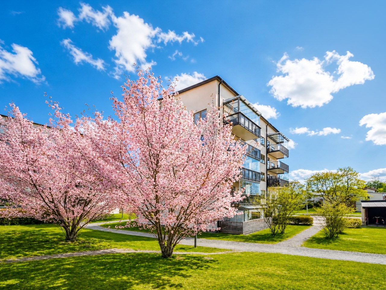 Innergården i körsbärsblomning