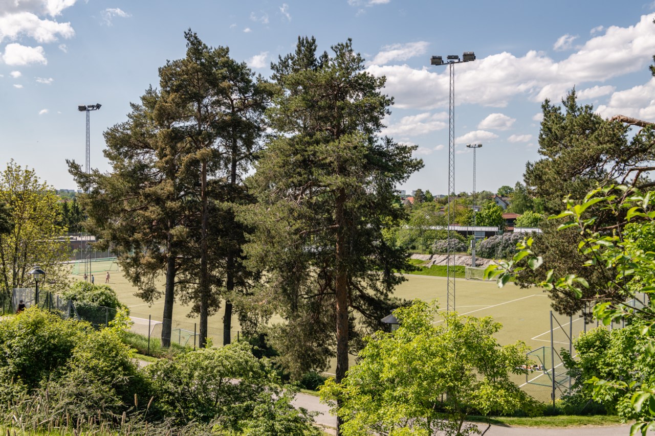 Harplingegränd 34