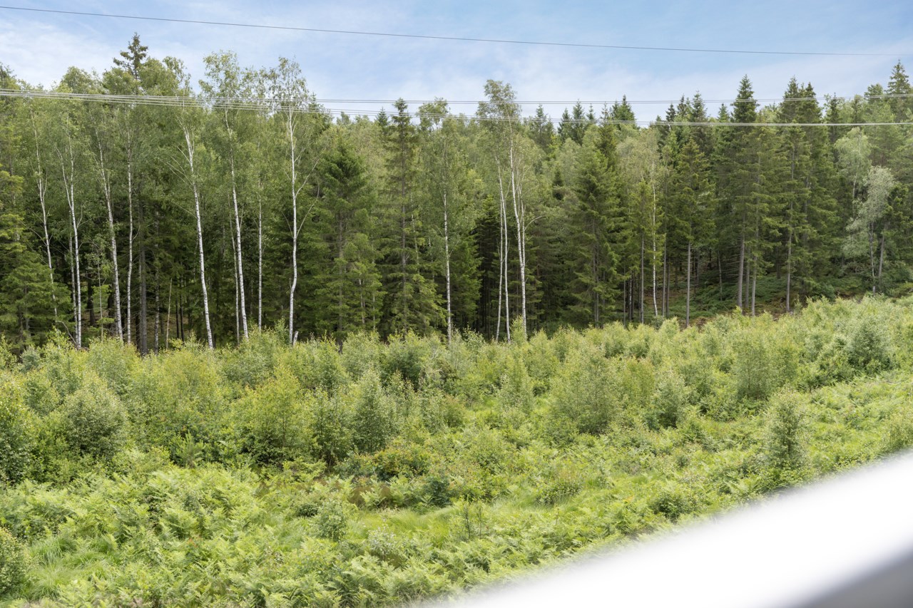 Biodlarvägen 9