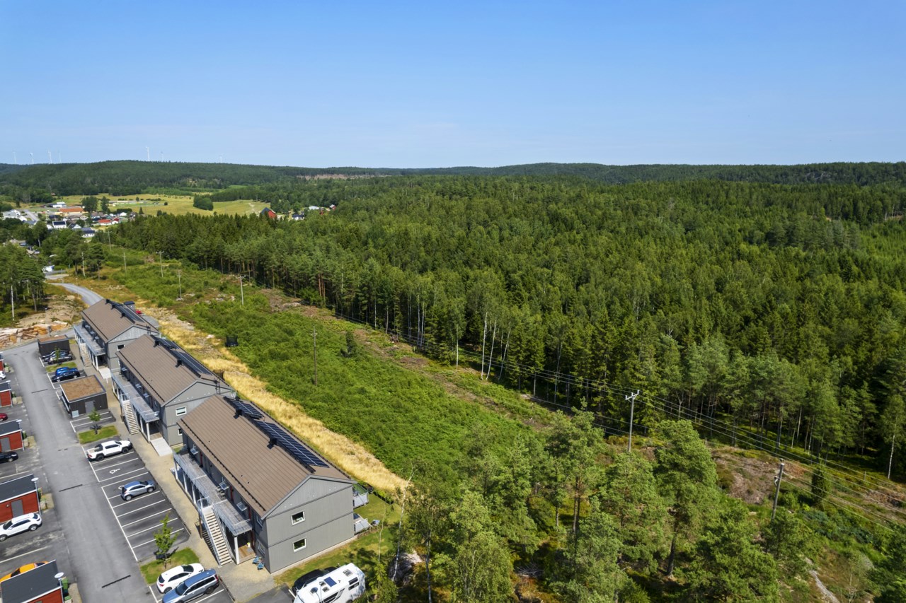 Biodlarvägen 9