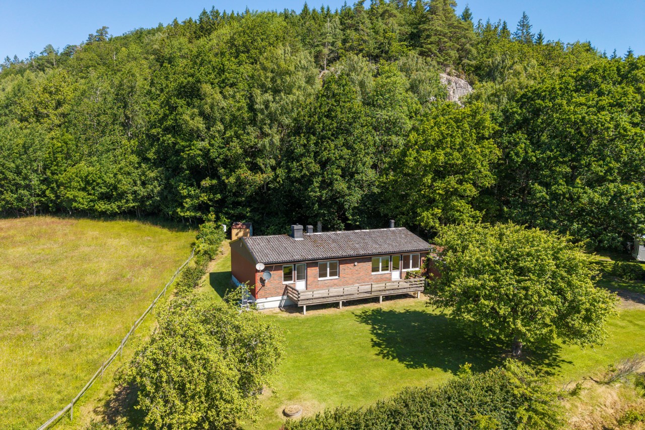 Hasteröd 213