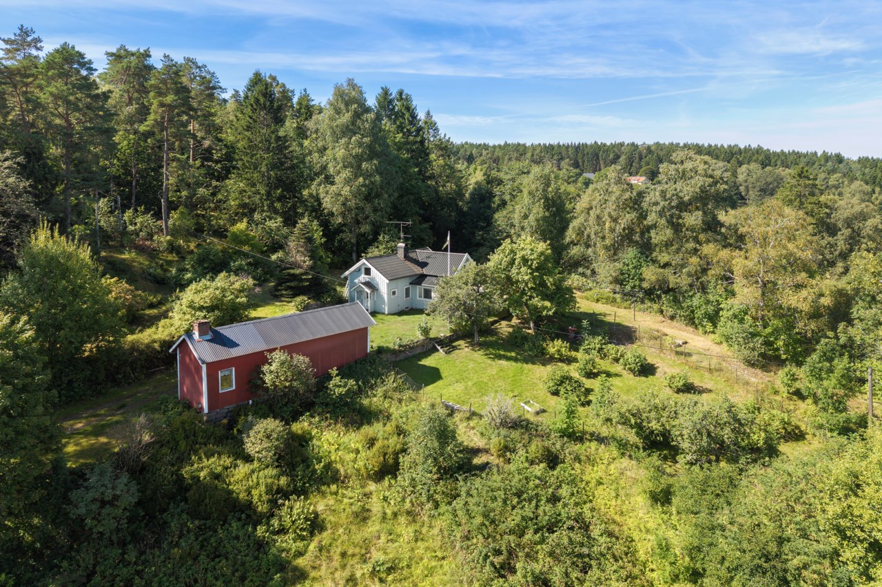 Tittås 129