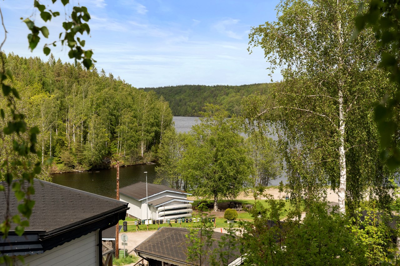 Ryrsjön 217