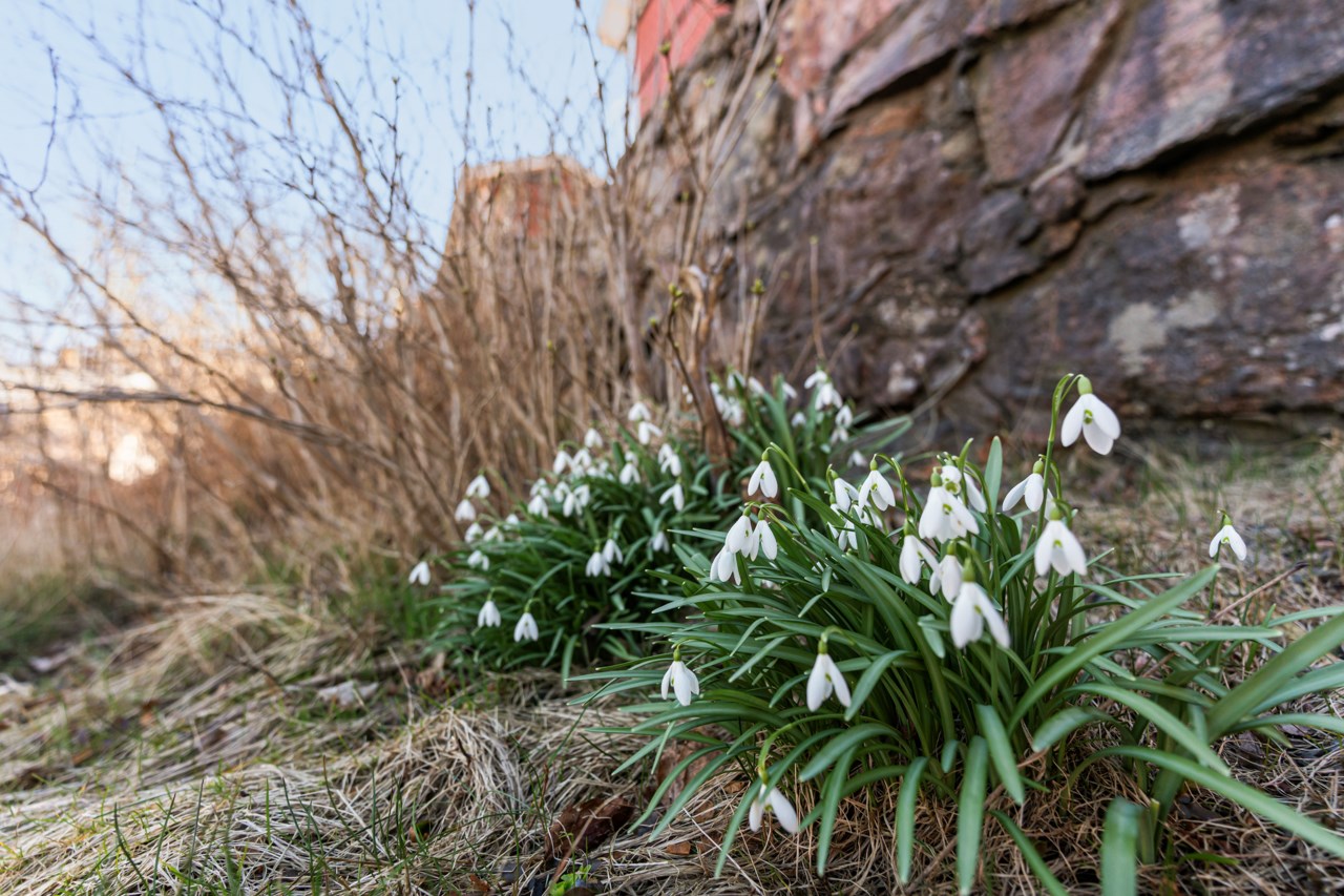 Strömslundsgatan 14