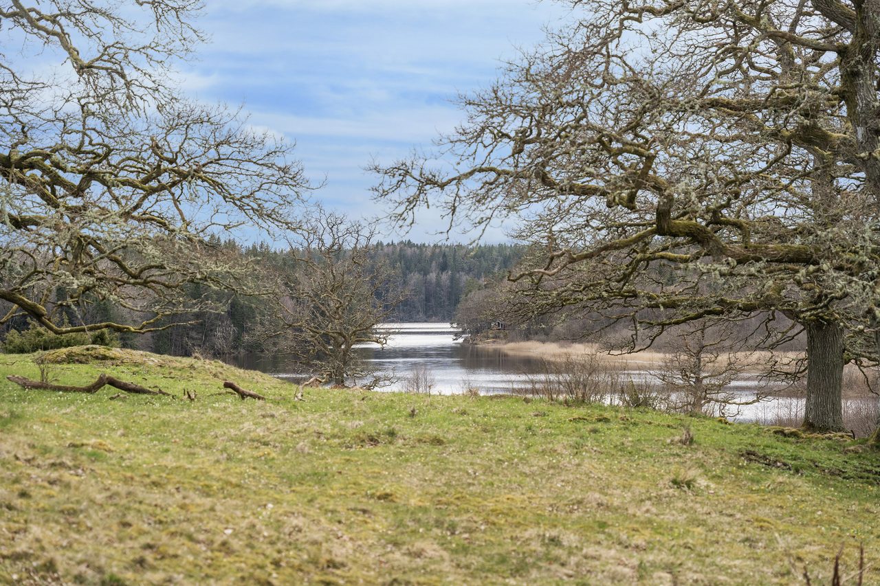 Inte långt bort finns Ekhagen! Naturreservat som är välbesökt