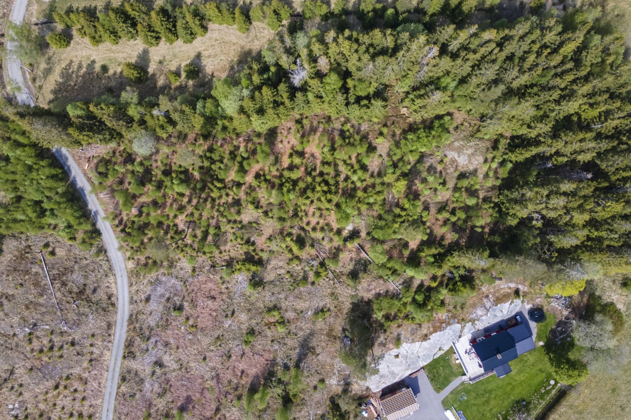 Markområde/tomter Lindveden