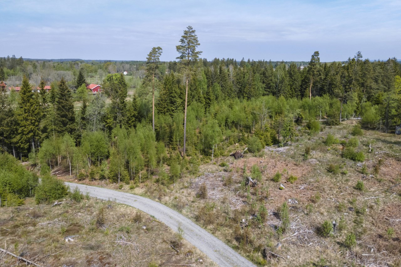 Markområde/tomter Lindveden