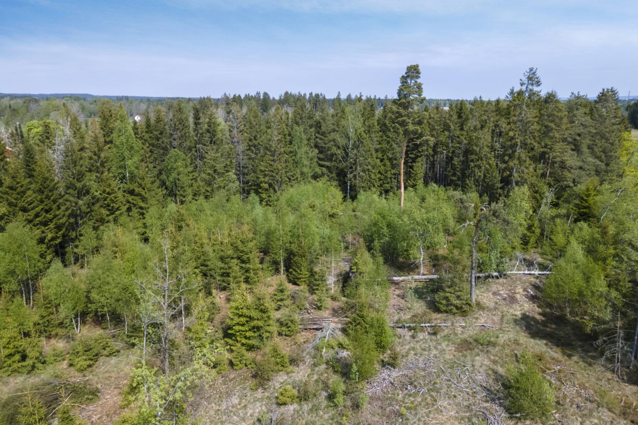 Markområde/tomter Lindveden