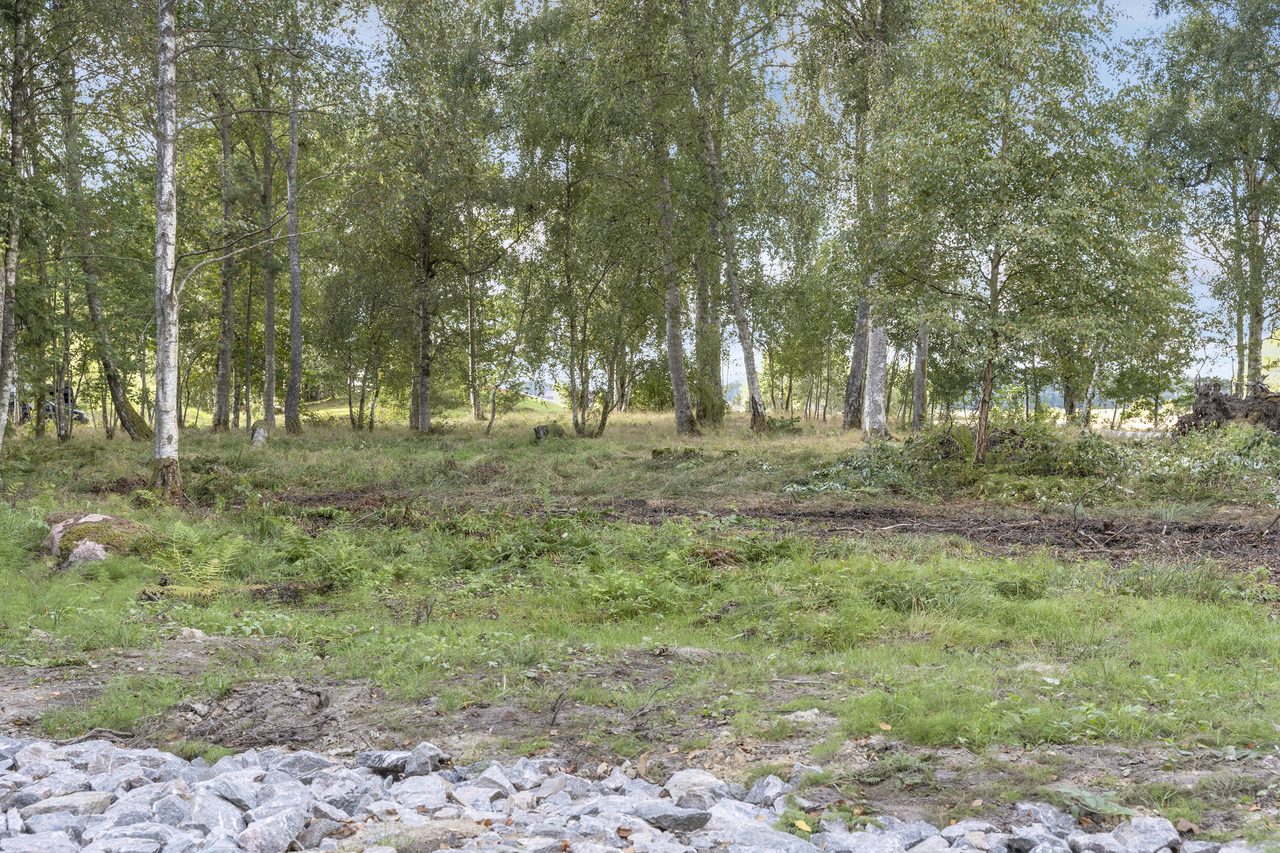 Sensommar