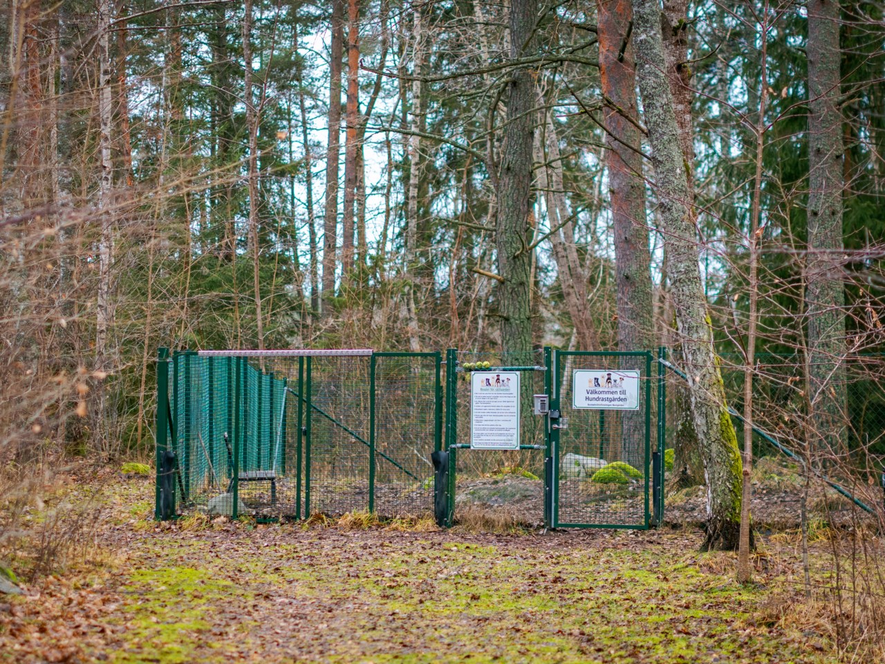 Norrgården 14