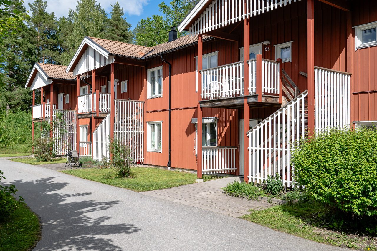 Långsjöängen 54