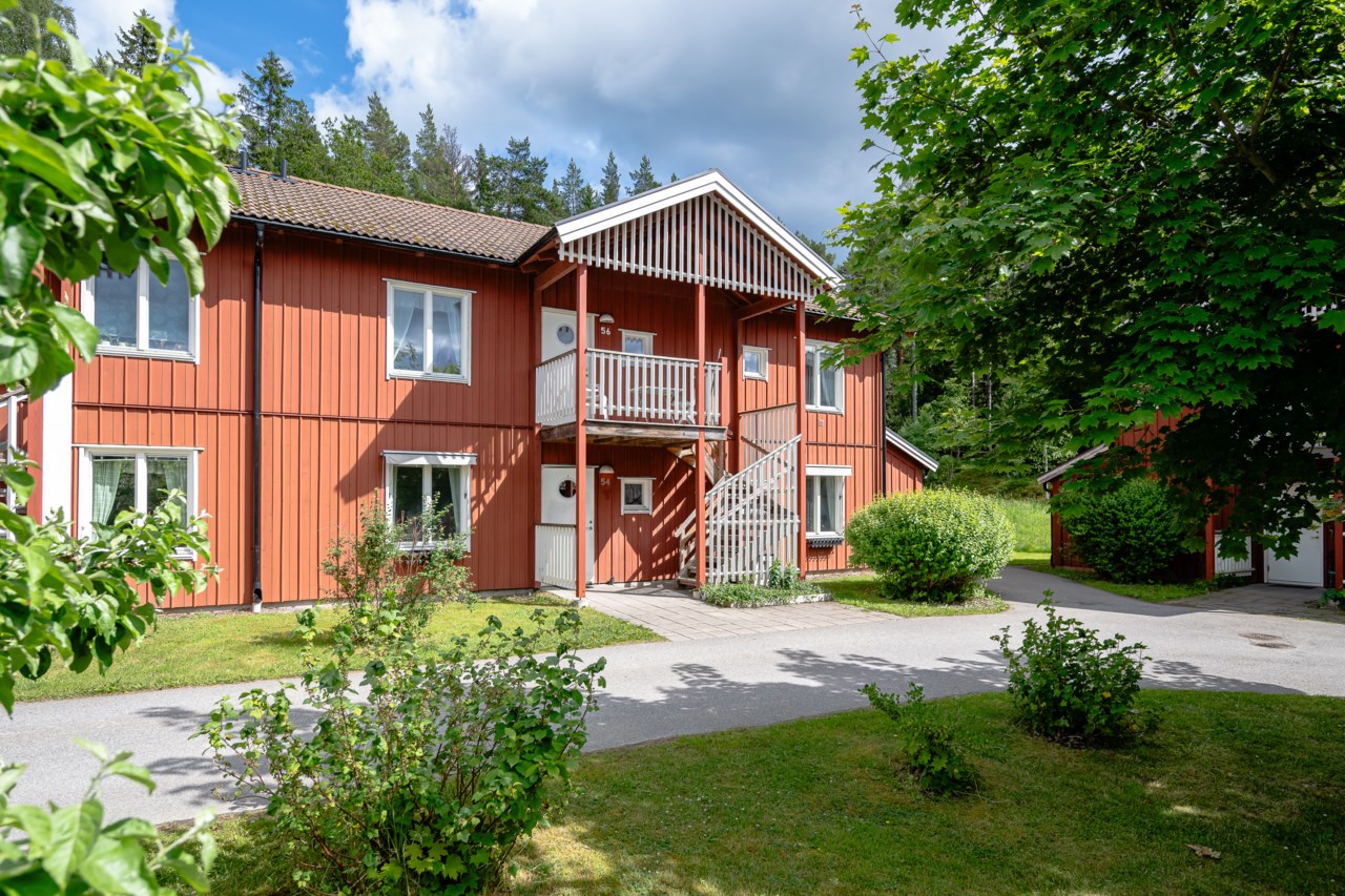 Långsjöängen 54