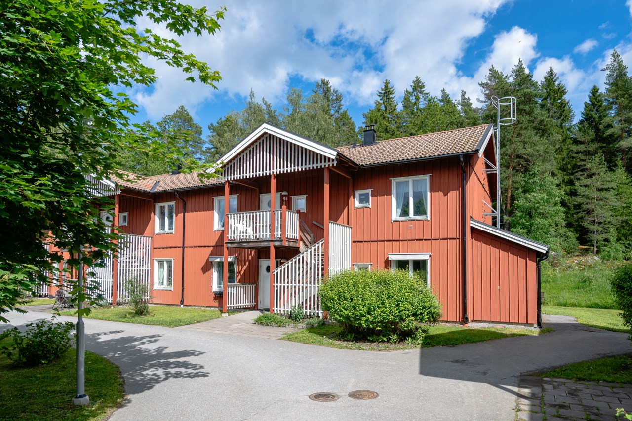 Långsjöängen 54