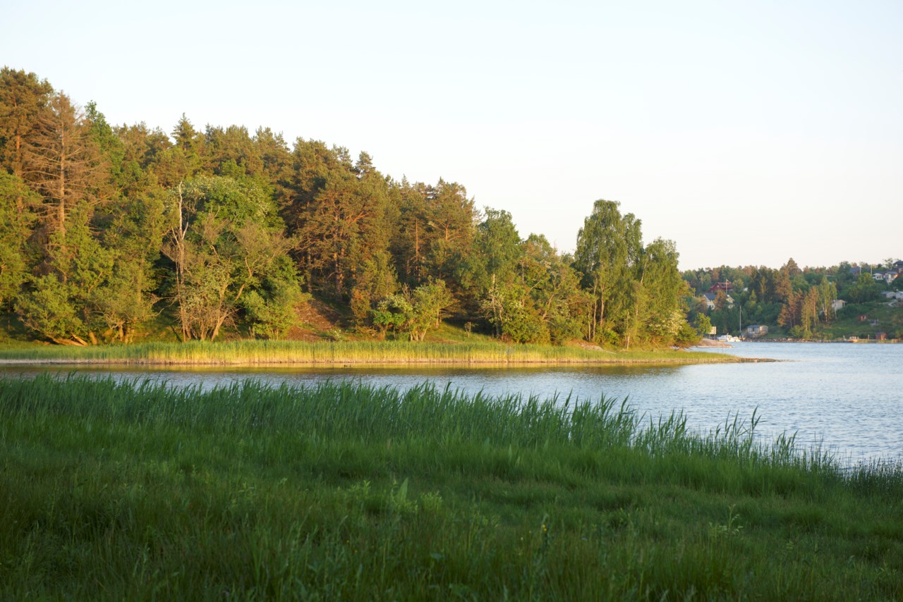 Myntbacken 19