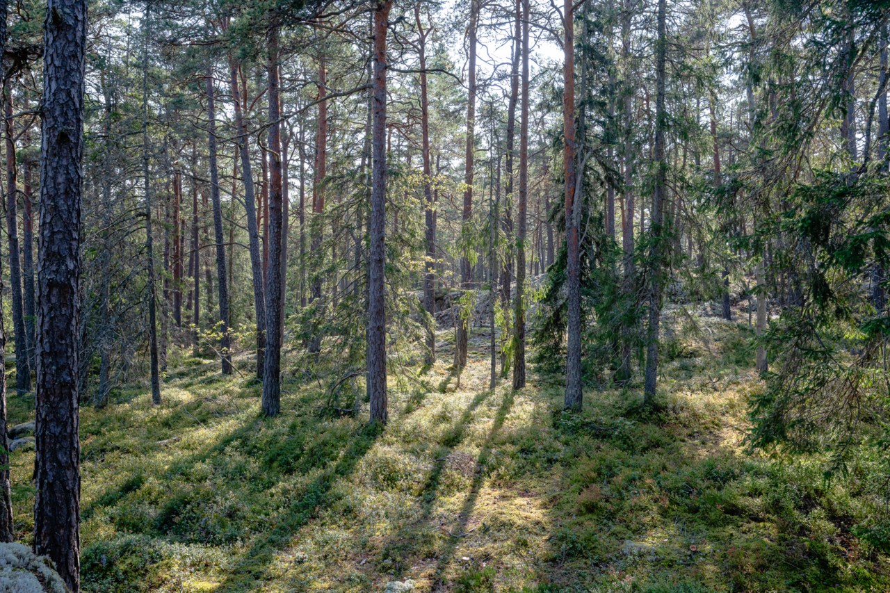 Blankavägen 18