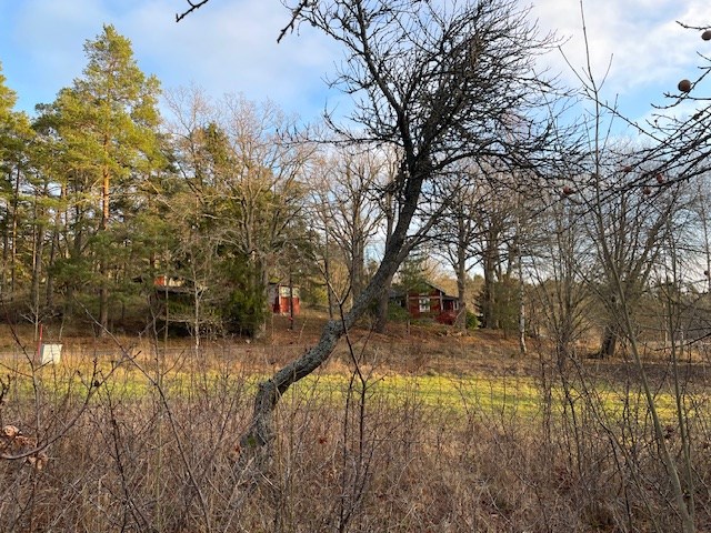 Ingmarsö 2