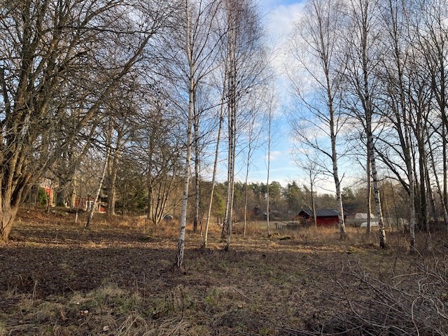 Ingmarsö 3