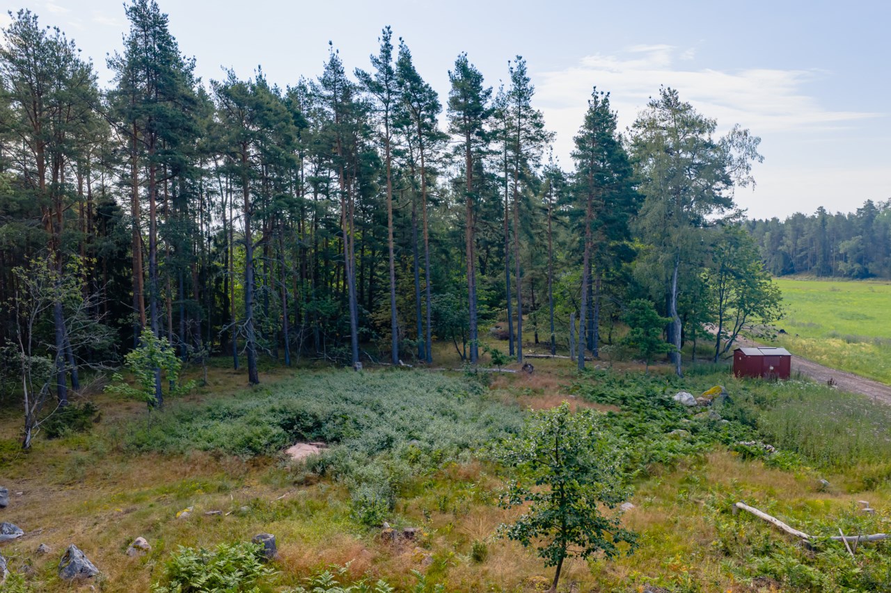 Fridhemsvägen 23
