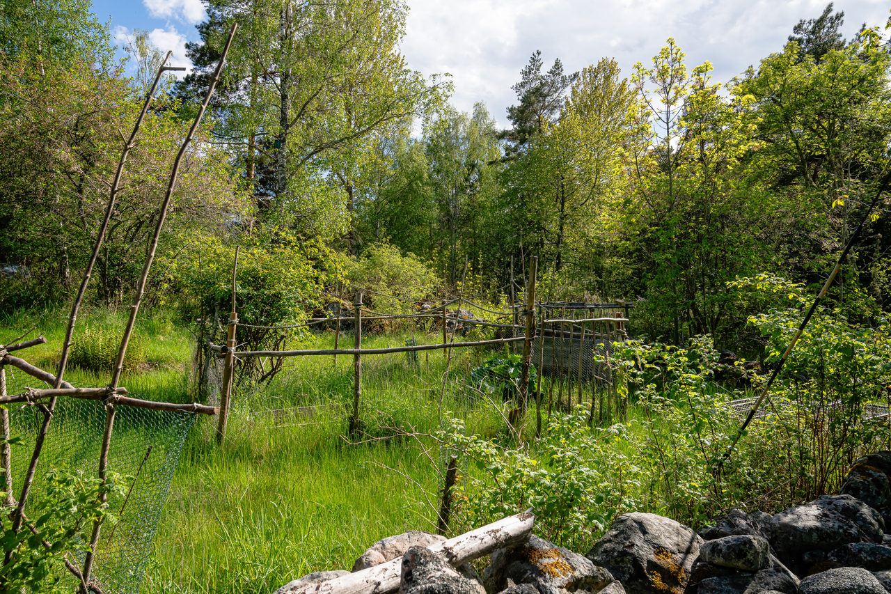 Sigridsberg 1