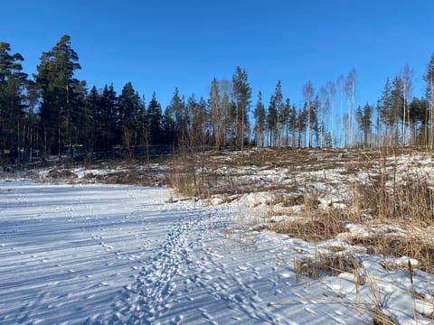 Eknö Backe 8