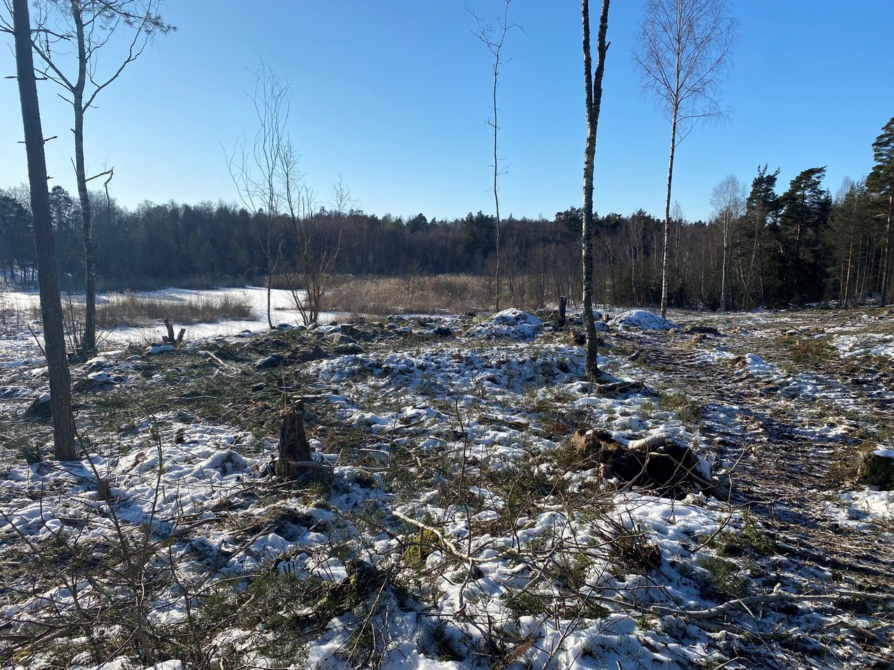 Eknö Backe 8