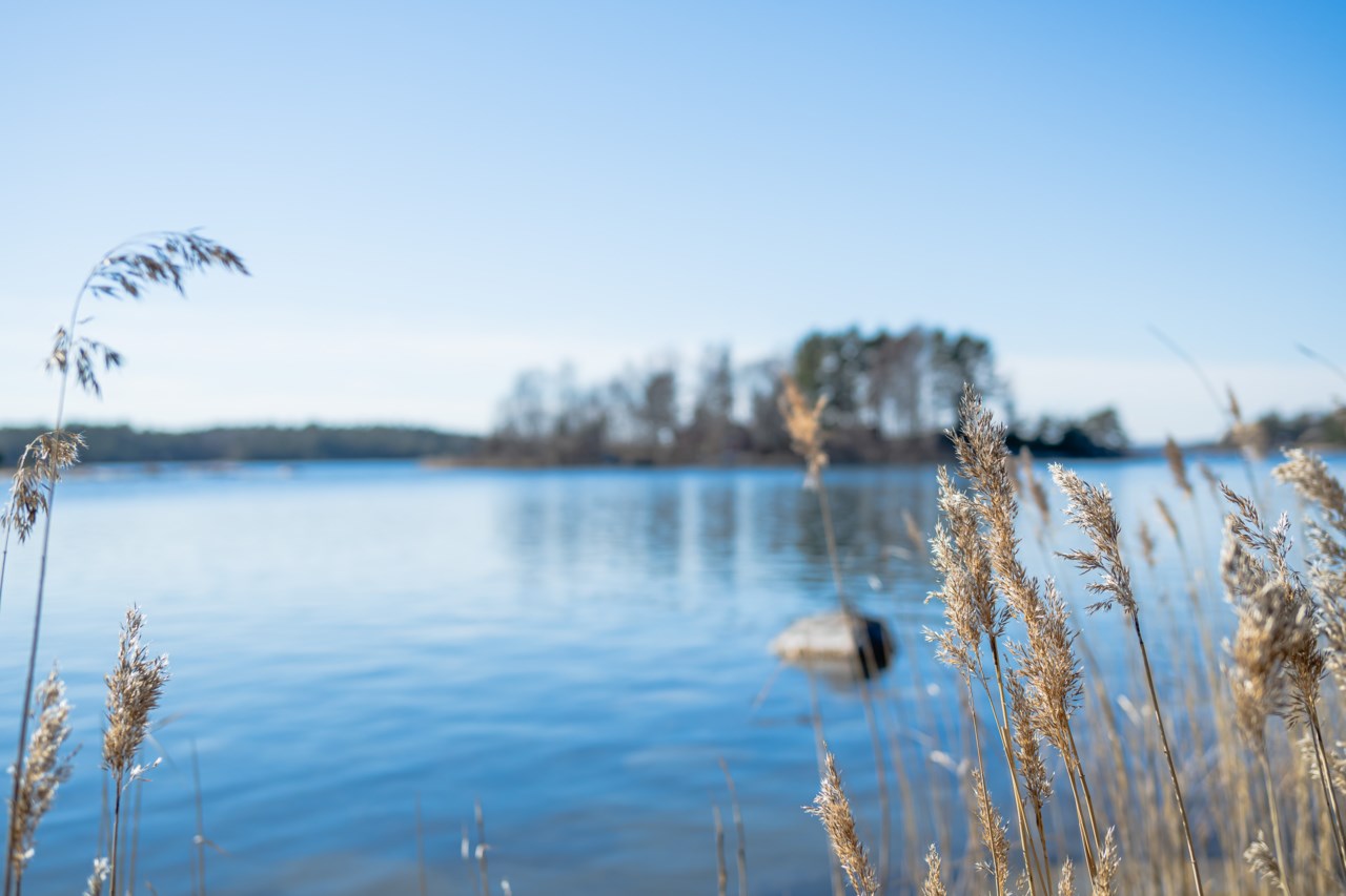 Långgrundet 1