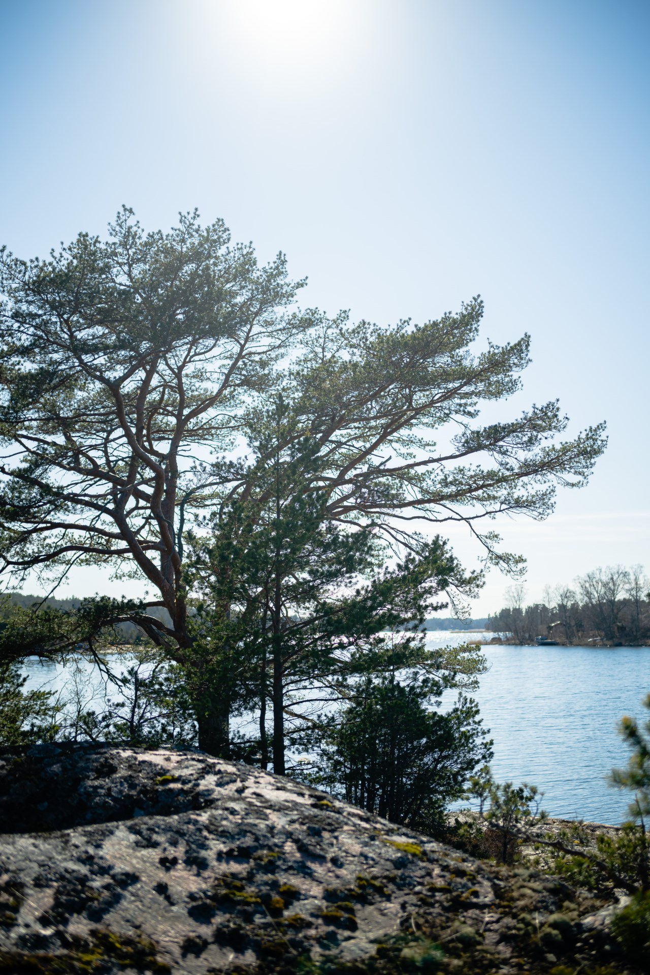 Långgrundet 1
