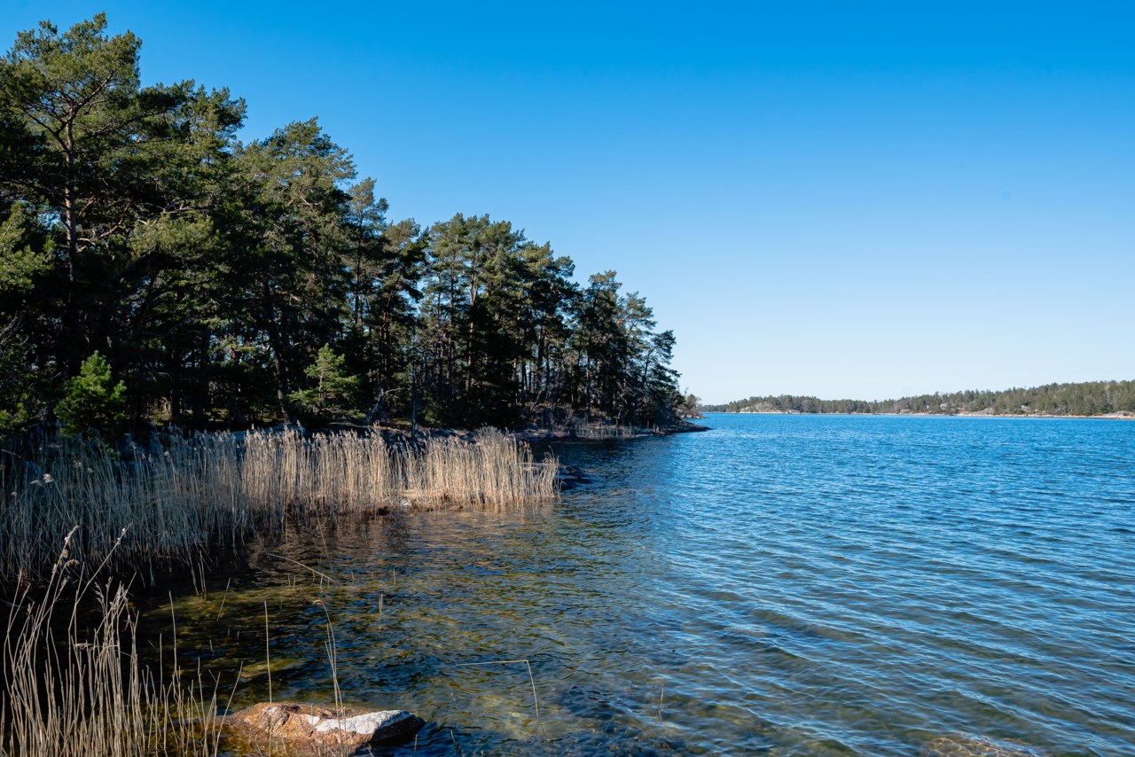 Långgrundet 1