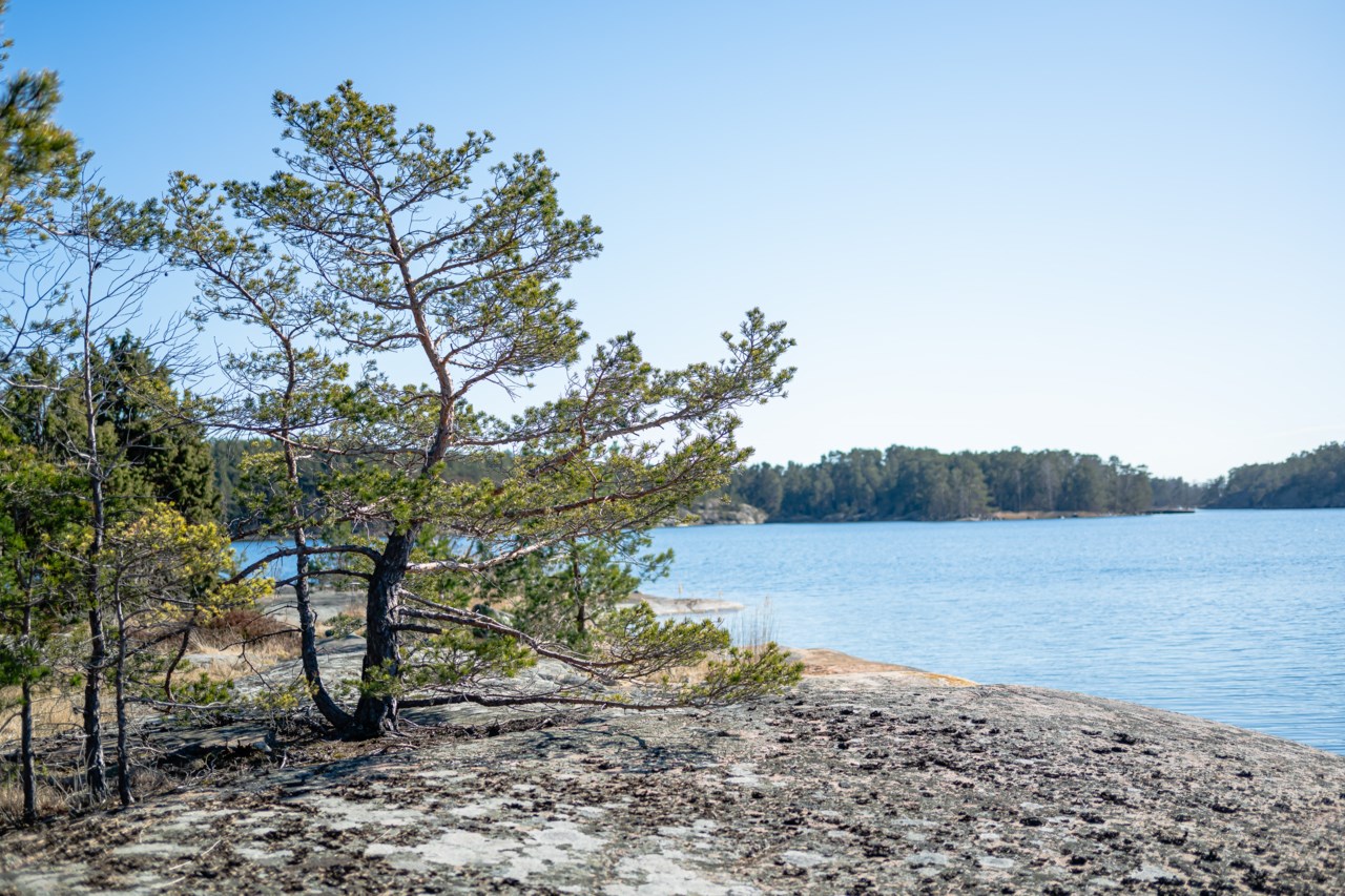 Långgrundet 1