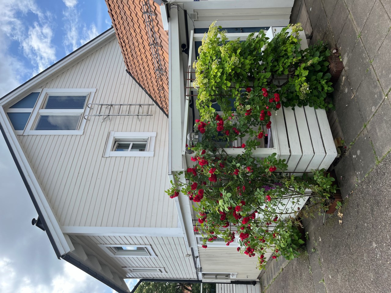 Säljarens egna bild