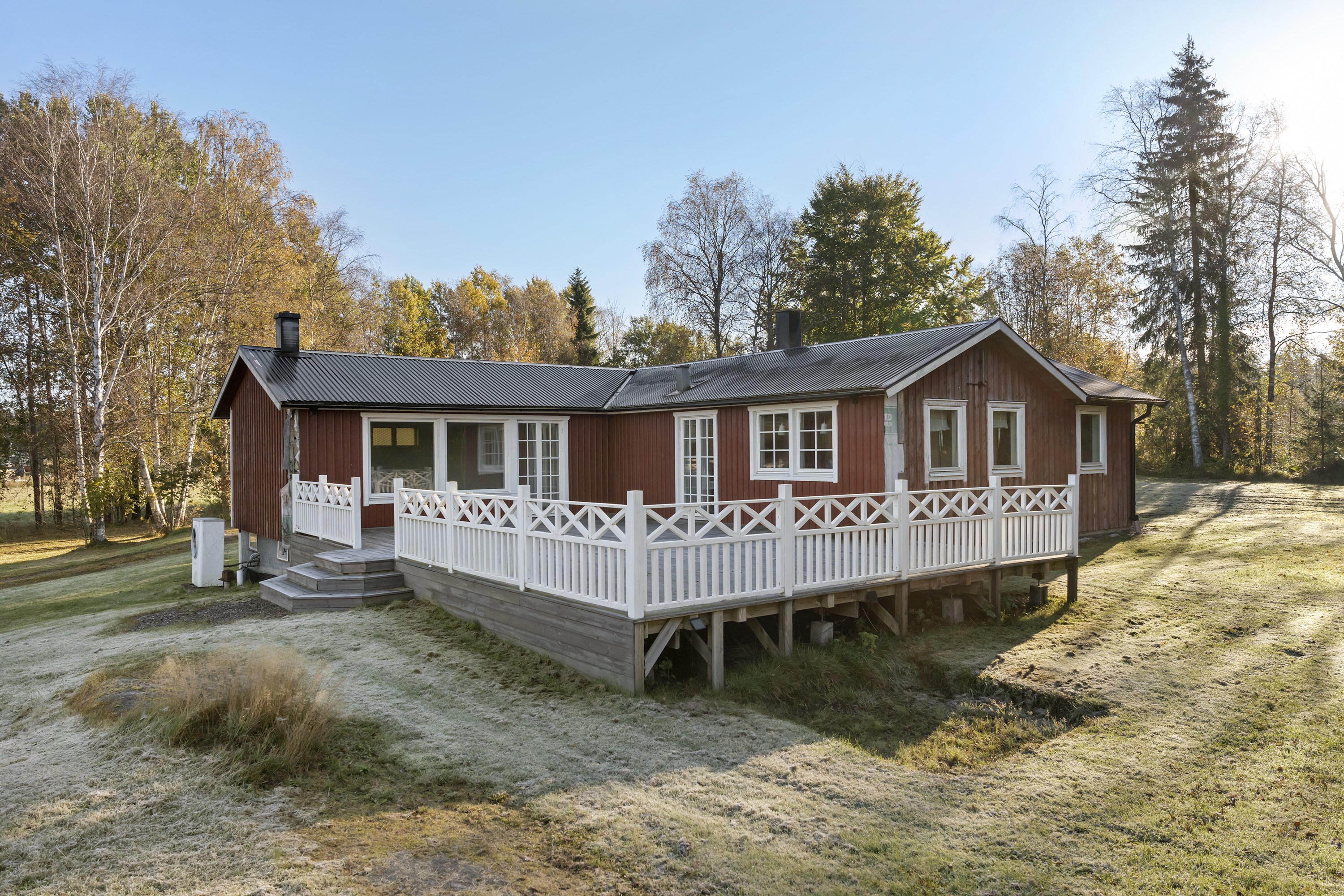 Skogen 549