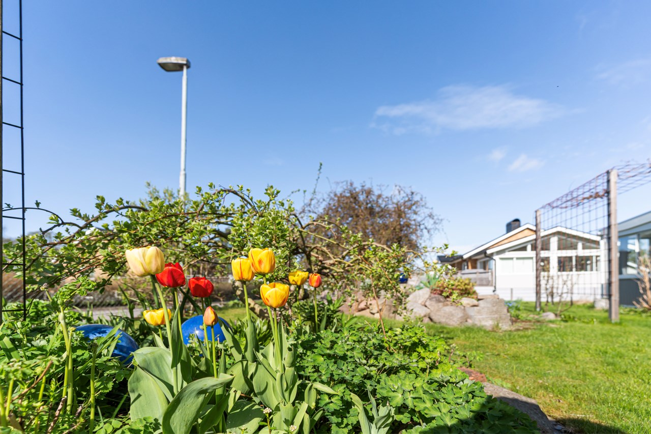 Näckrosvägen 24