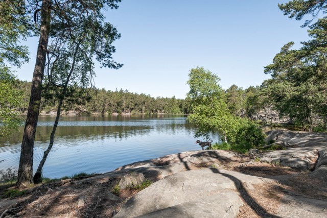 Glasbrukssjön
