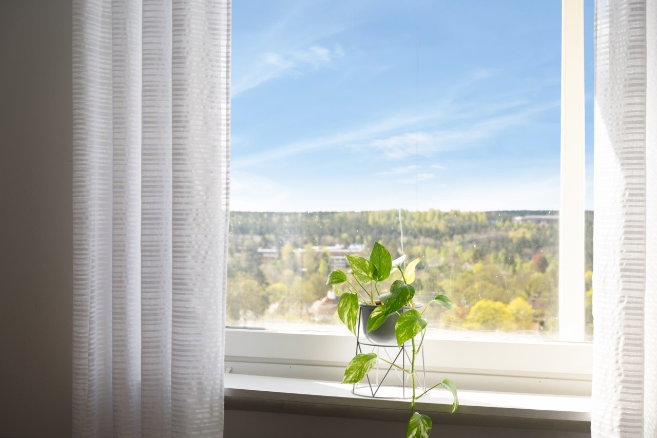 Per Hallströms väg 12