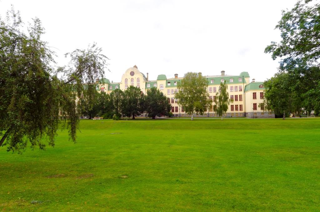 Stora grönområden