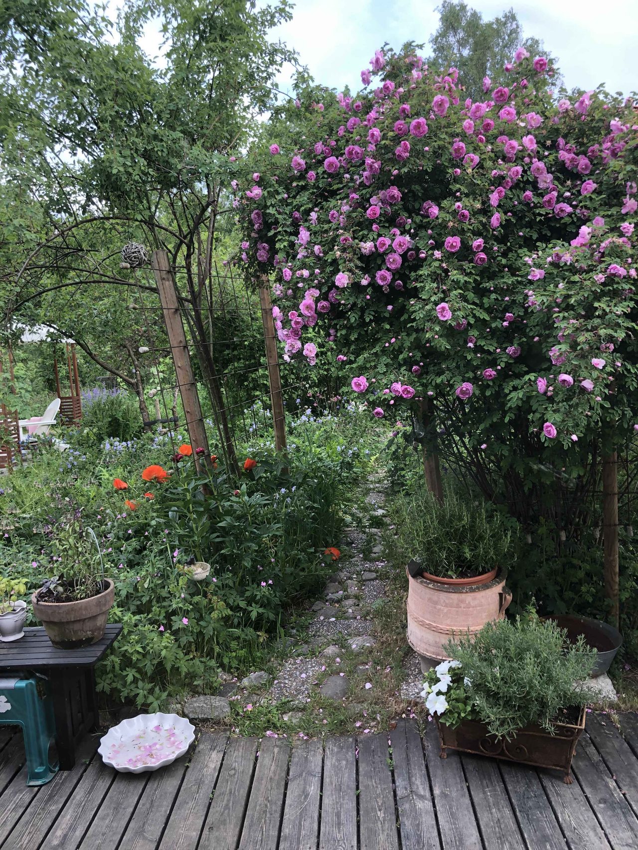 Säljarens bild