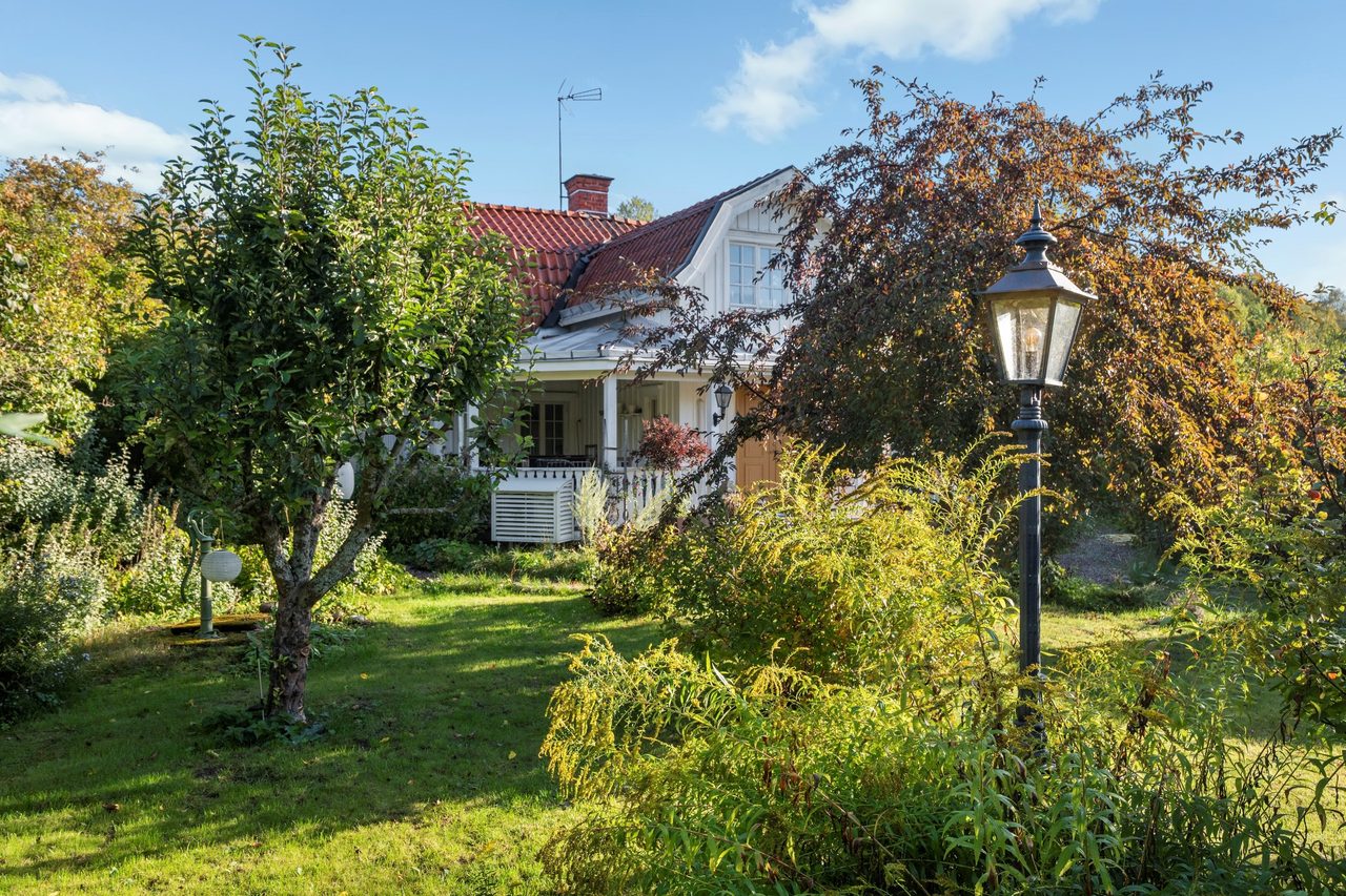 Lummig trädgård