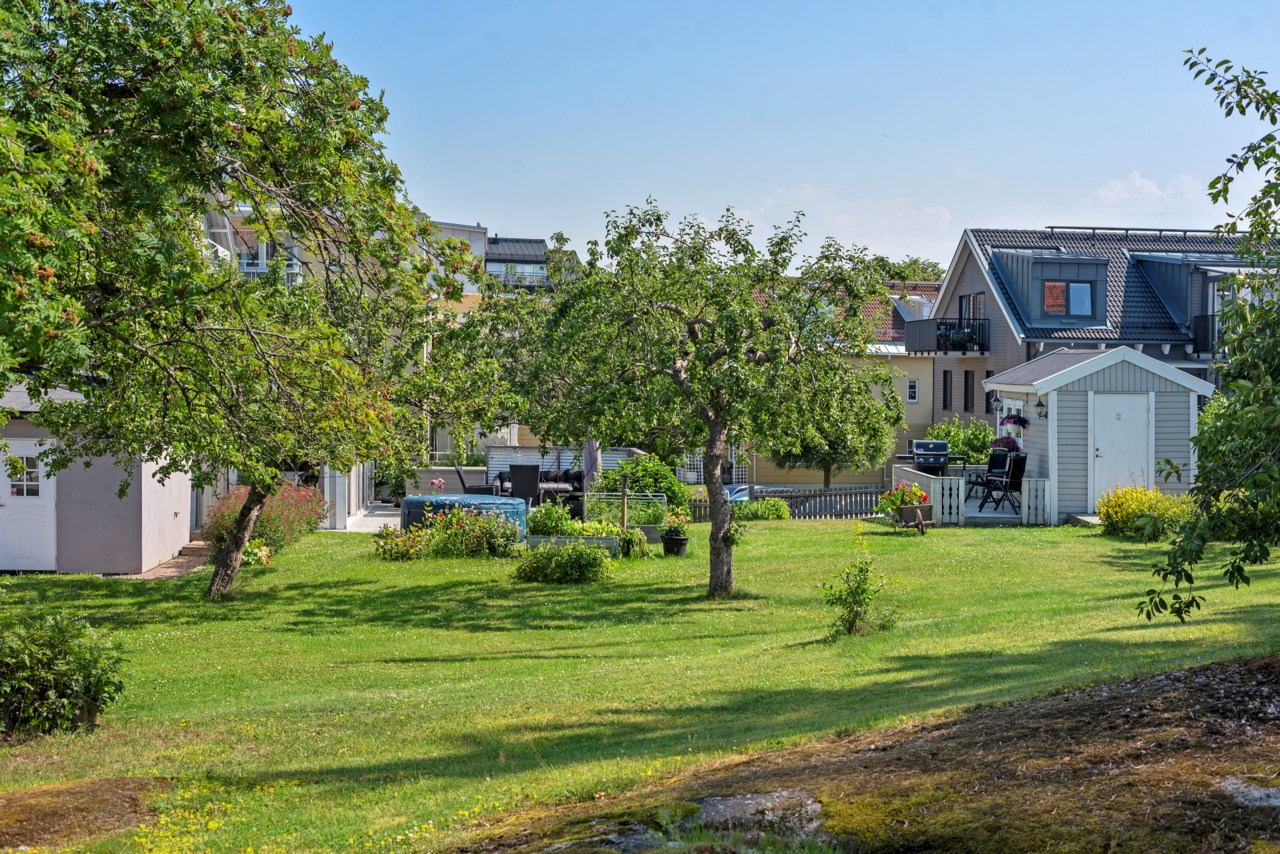 Vacker trädgårdstomt
