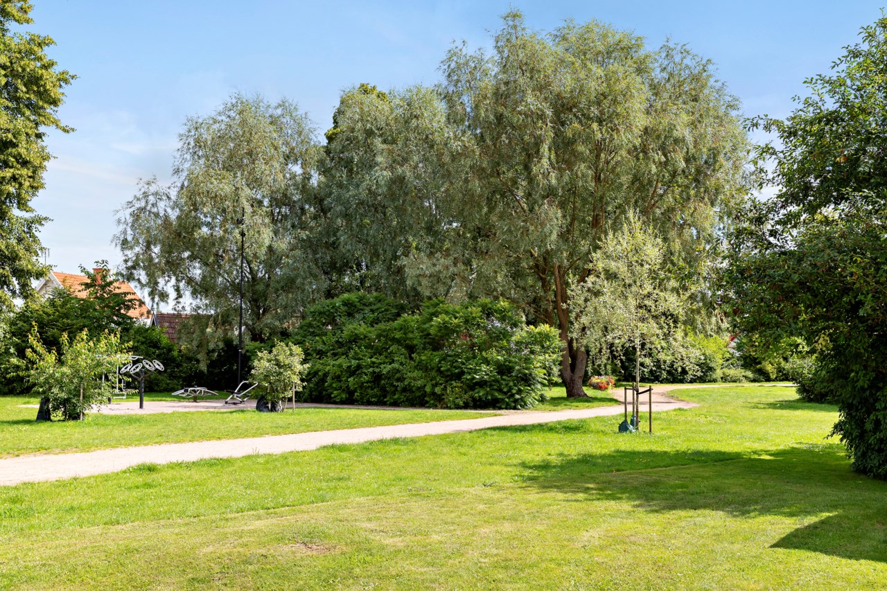Skogsvägen 8A