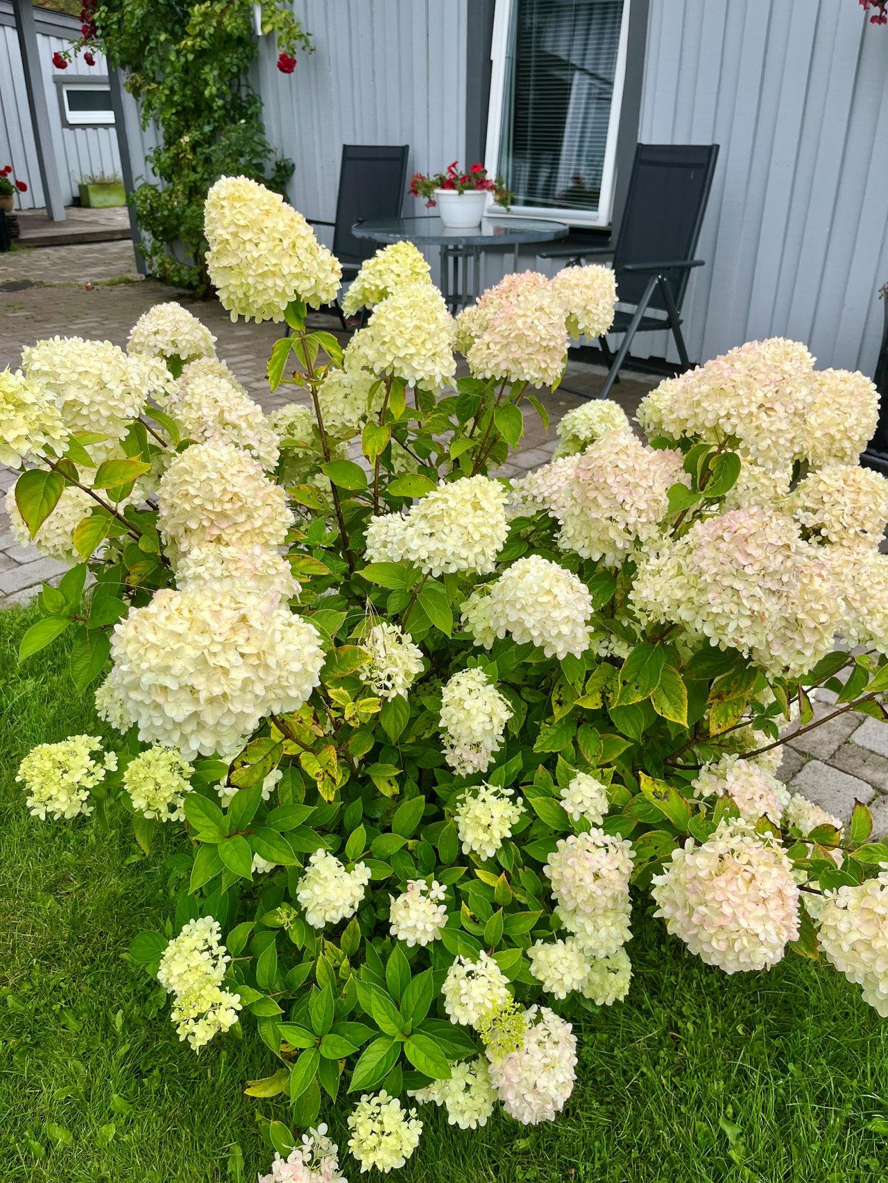 Slättnes väg 1