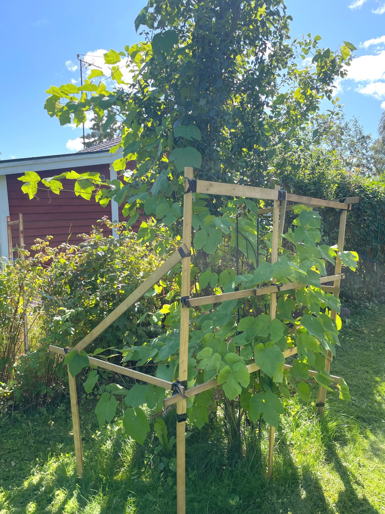Gruvvägen 42, lott nr 12