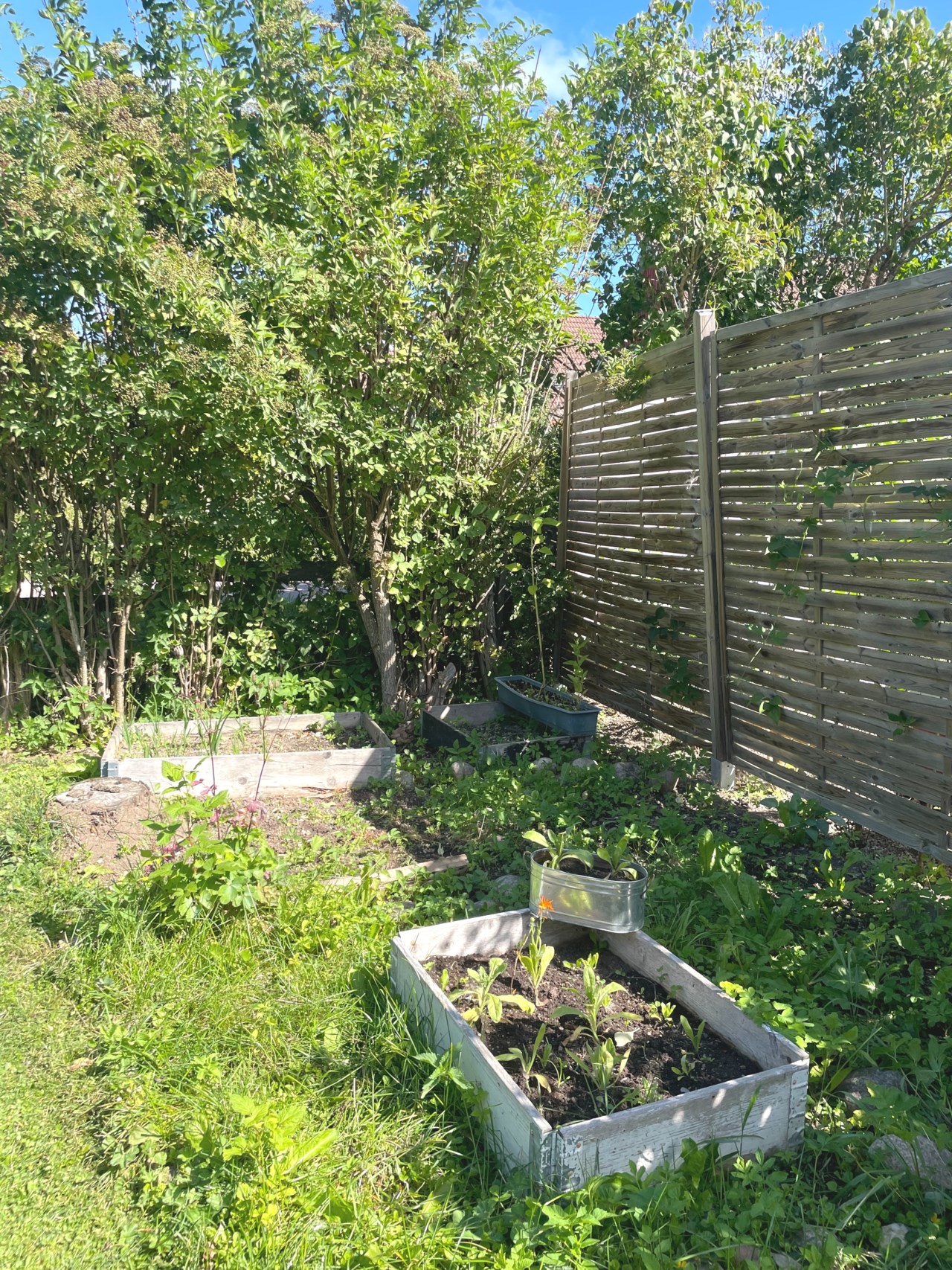 Gruvvägen 42, lott nr 12