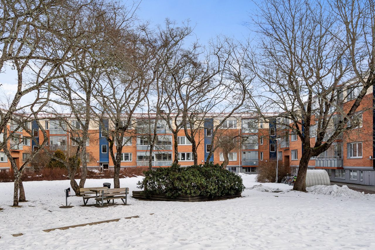 Lövhagsgatan 51
