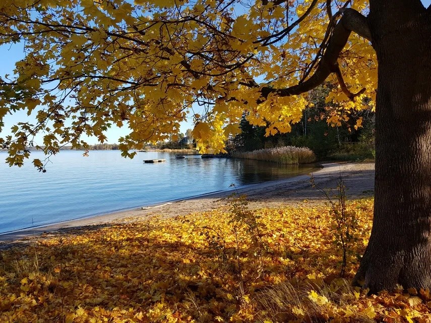 Frisksportarvägen 1