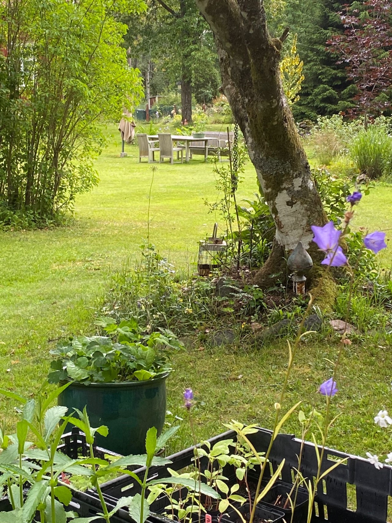 Stegaryd Sjöbygget 1